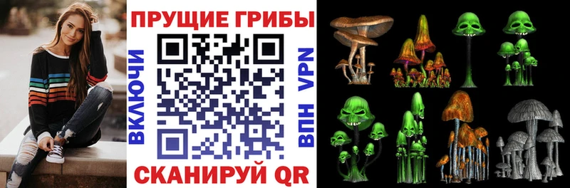 Купить  Сухой Лог  Псилоцибиновые грибы MAGIC MUSHROOMS 